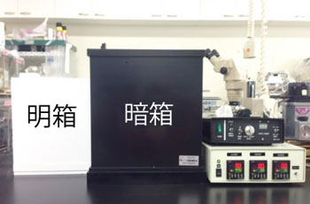 研究３