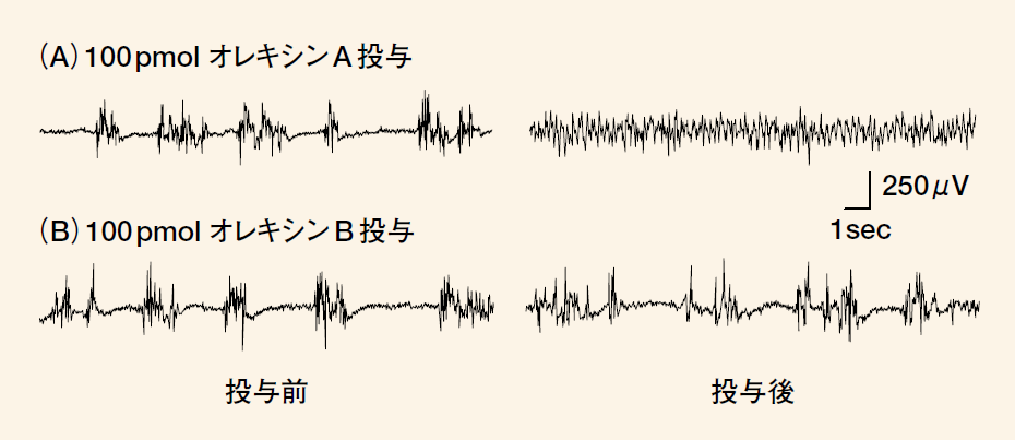 ラボ１